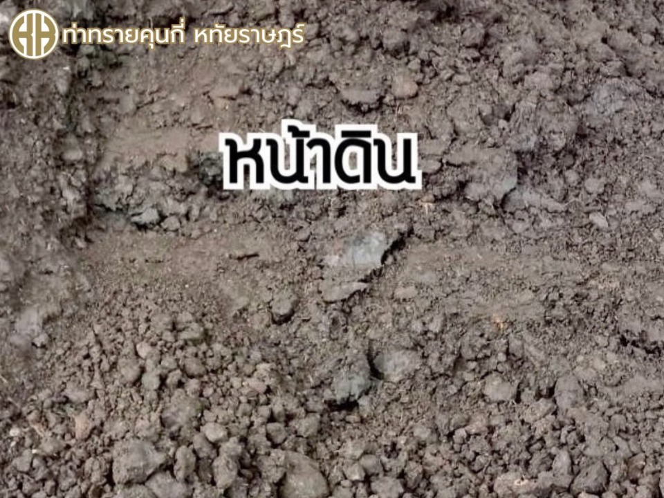 ร้านขายหน้าดิน ราคาถูก หทัยราษฎร์