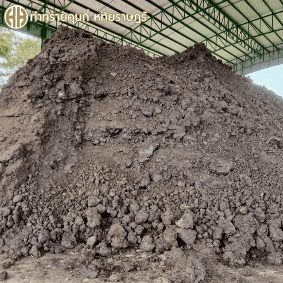 ร้านขายหน้าดิน ราคาถูก หทัยราฎร์